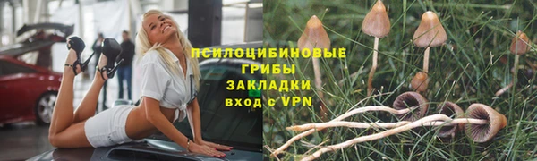 каннабис Богородицк