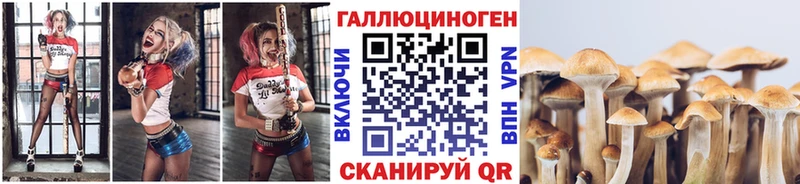 Галлюциногенные грибы Psilocybine cubensis  mega ONION  Наро-Фоминск  купить  сайты 